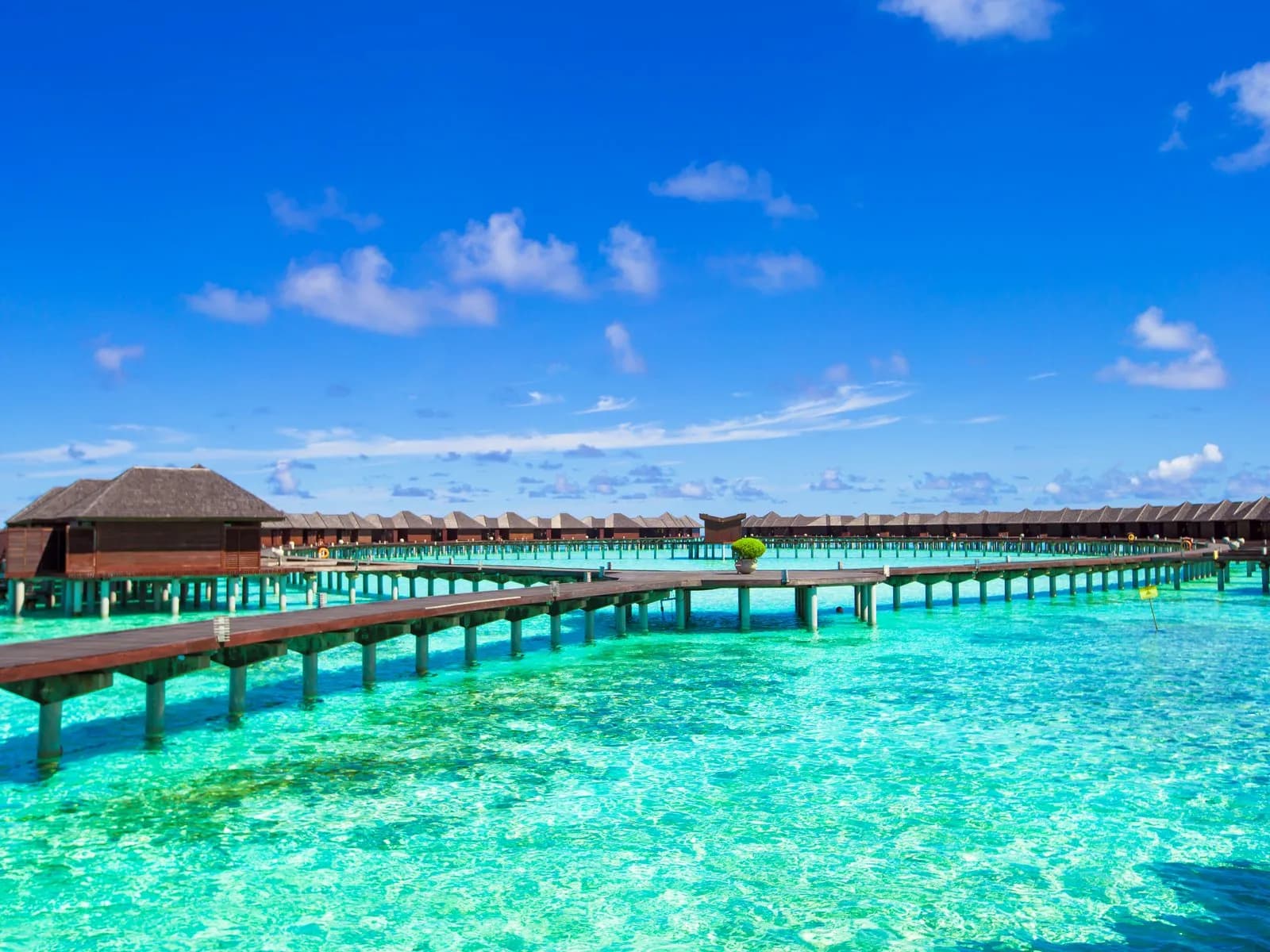 Maldives gallery 16