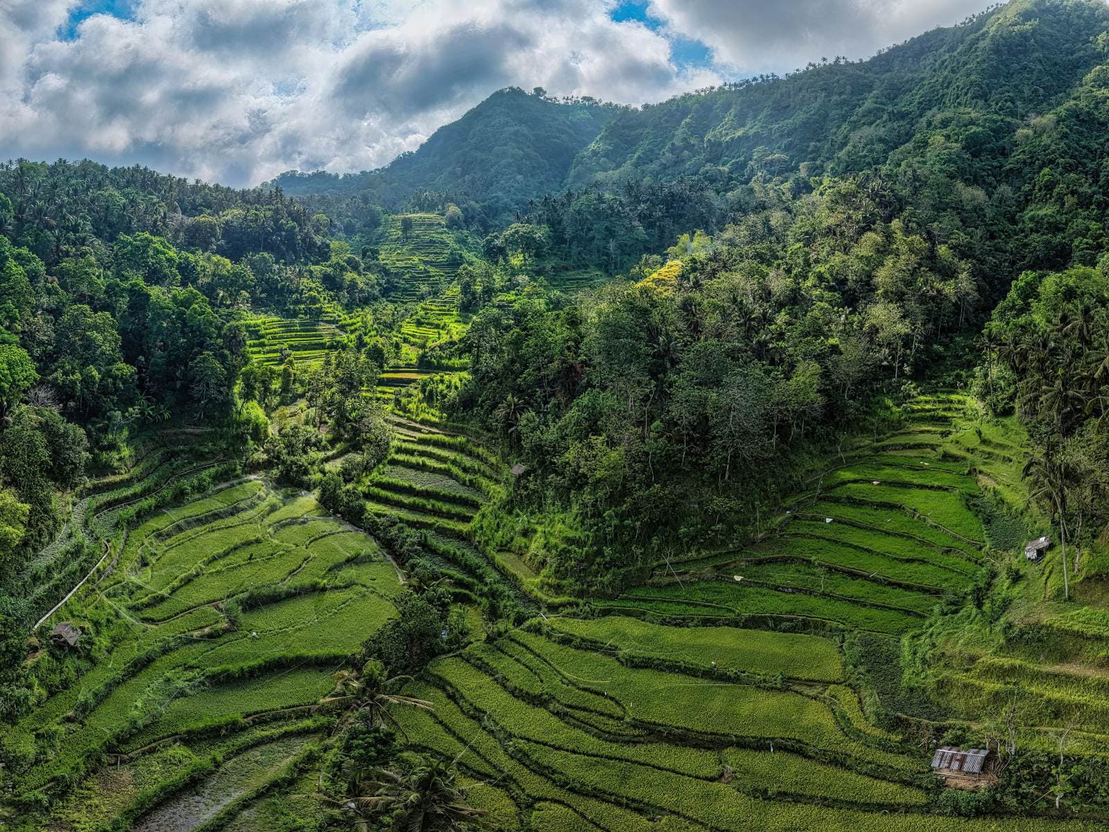 Bali gallery 7